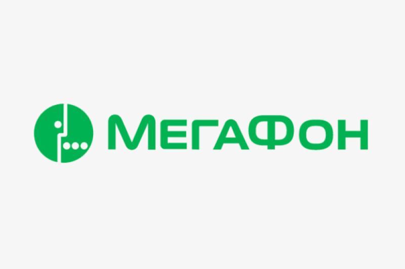 МегаФон обеспечил села Артинского района скоростным мобильным интернетом 4G